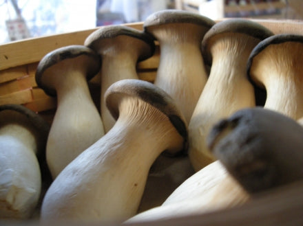 Thai curry with coconut milk and king oyster mushrooms
    
    
    
      &ndash; Mycoboutique