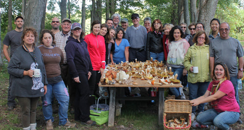 Mushroom picking in Quebec - Hunting Excursion