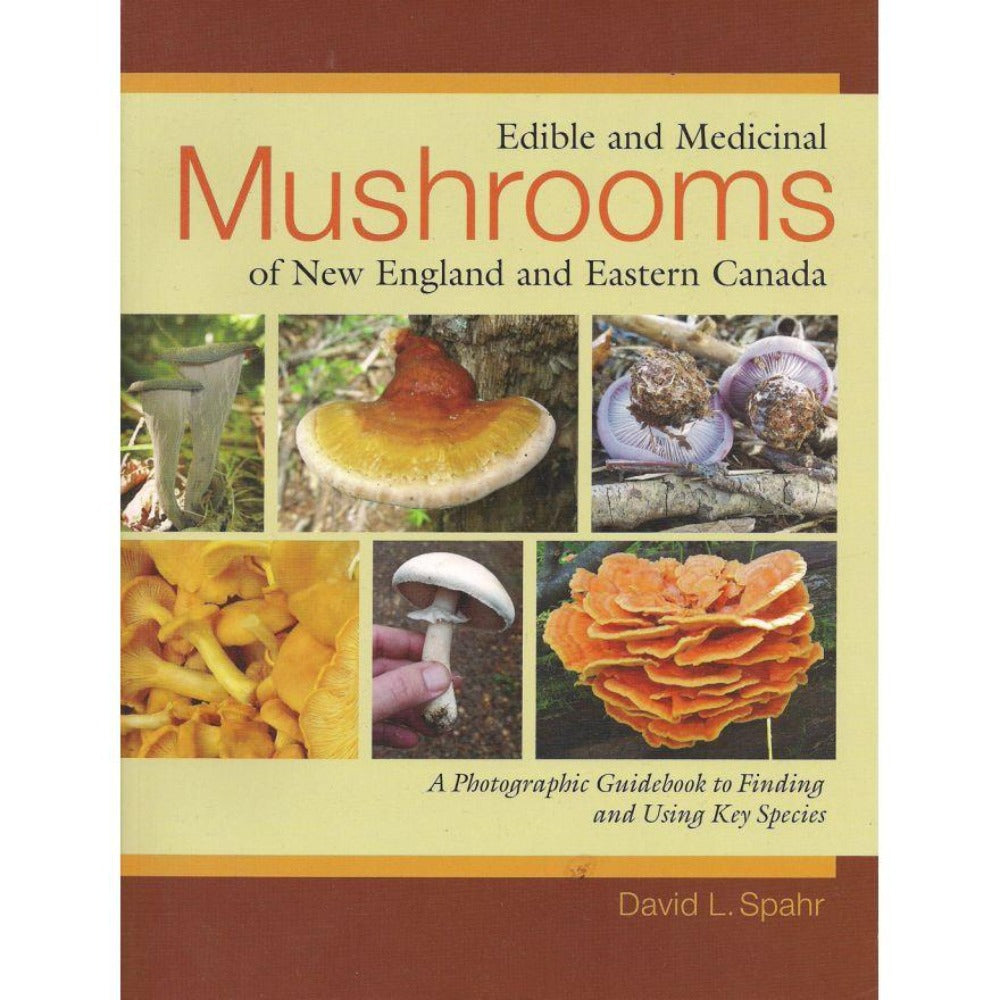 Edible and Medicinal Mushrooms of New England and Eastern Canada