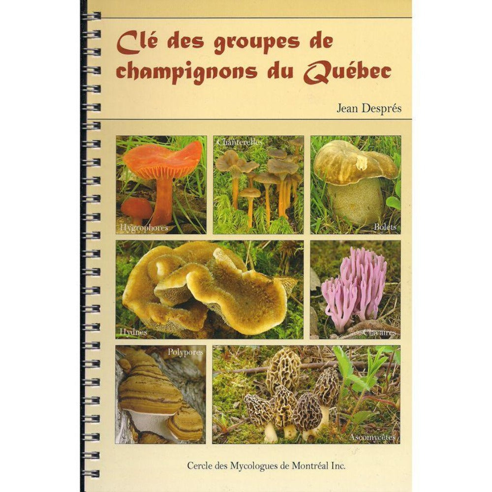 Clé des groupes de champignons du Québec